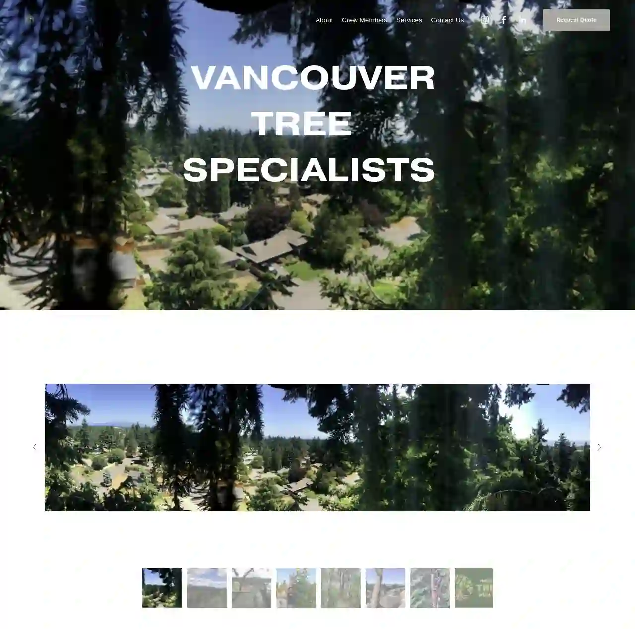 Vancouver Tree Specialists