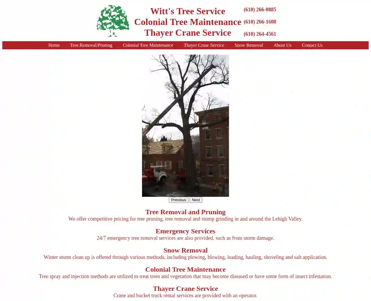 Witt's Tree Service