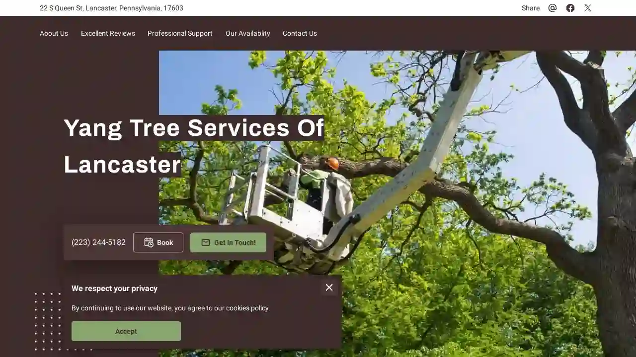 Yang Tree Services Of Lancaster