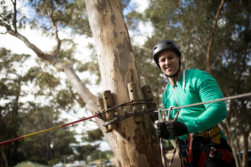 Professional tree trimming services